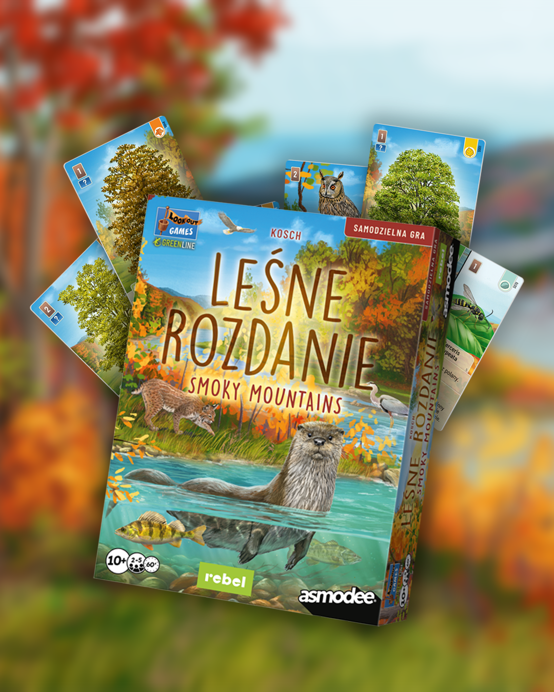 Leśne rozdanie: Smoky Mountains